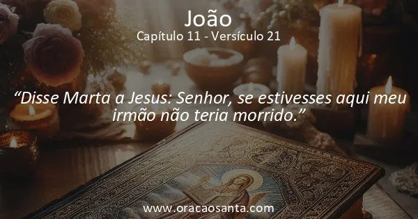 João 11:21