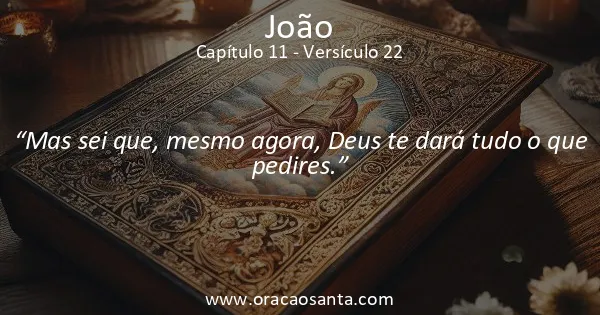 João 11:22