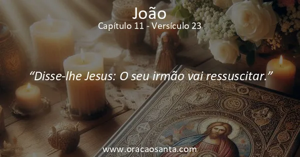 João 11:23