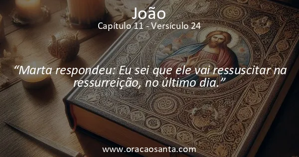 João 11:24