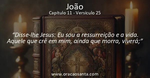 João 11:25