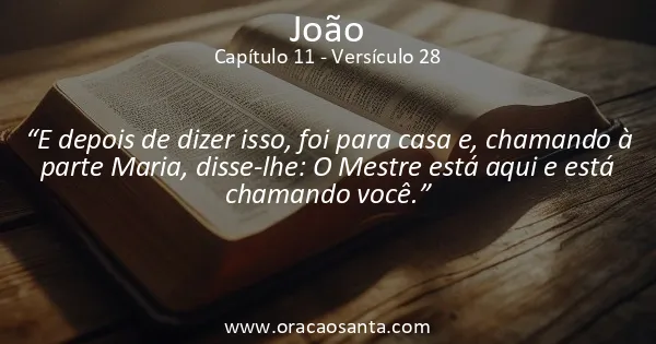 João 11:28