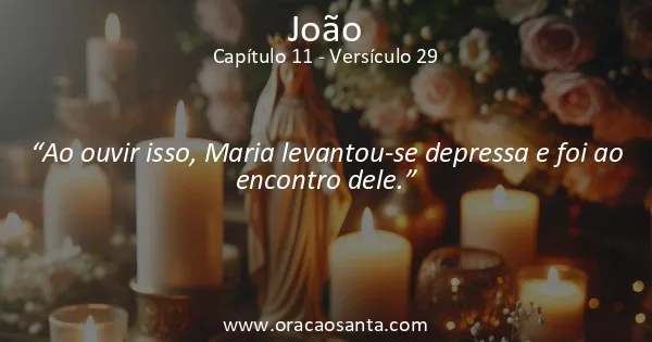 João 11:29