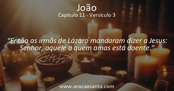 João 11:3