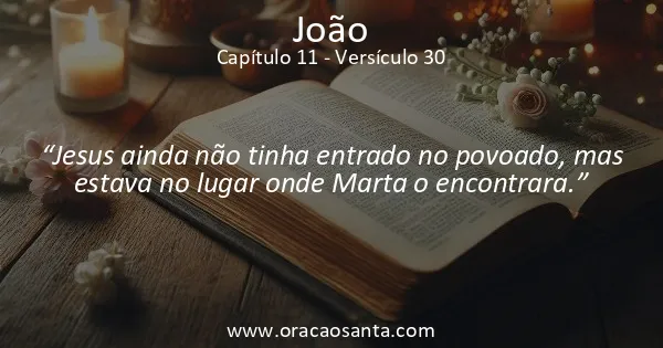 João 11:30