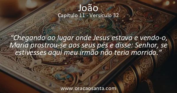 João 11:32