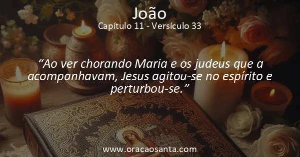 João 11:33