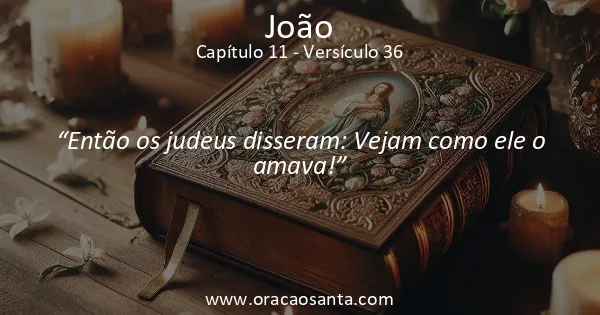 João 11:36