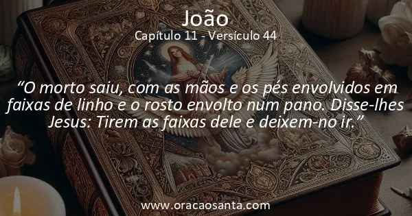 João 11:44