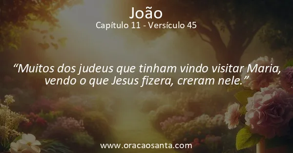 João 11:45