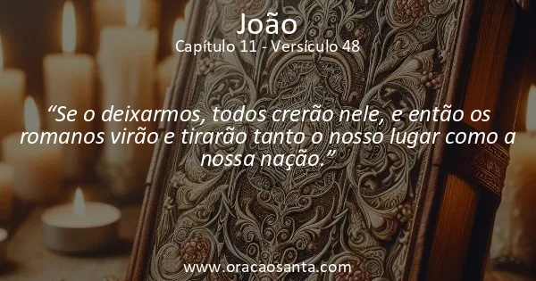 João 11:48