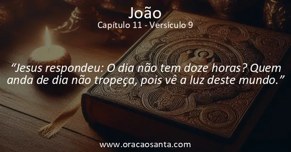 João 11:9