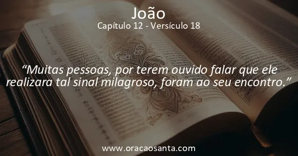 João 12:18