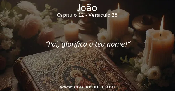 João 12:28
