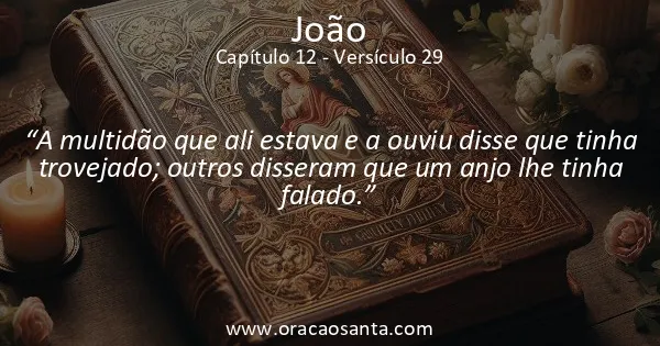 João 12:29
