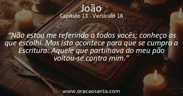 João 13:18