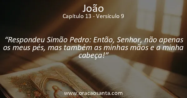 João 13:9