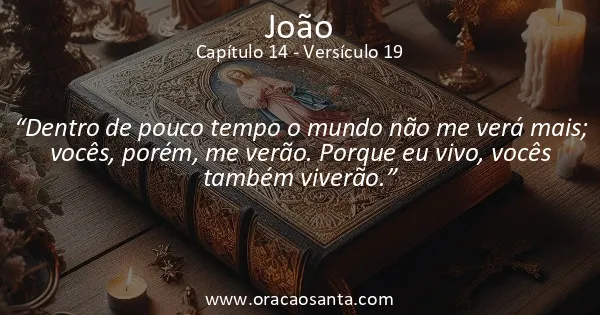 João 14:19
