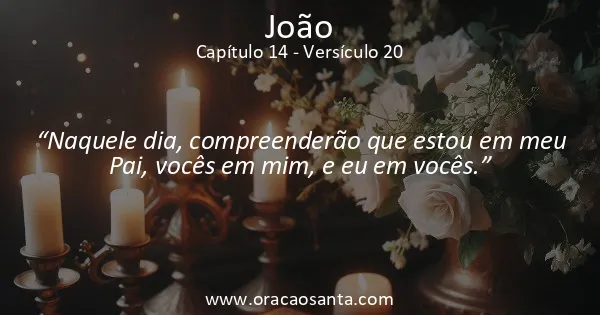 João 14:20
