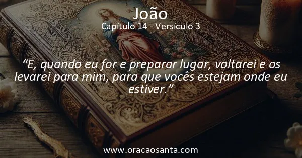 João 14:3