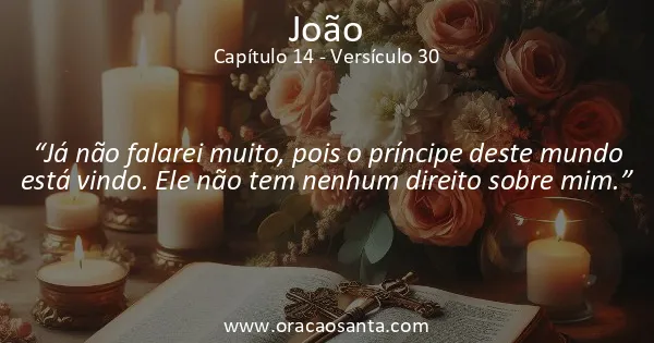 João 14:30