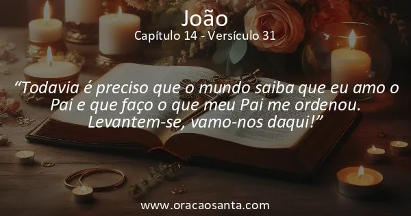 João 14:31