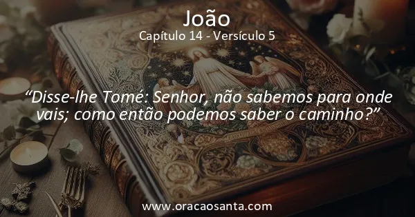 João 14:5