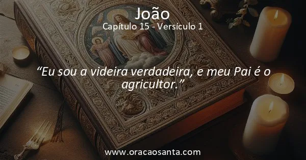 João 15:1