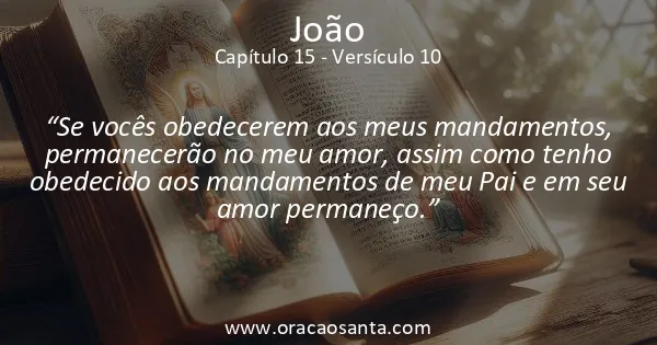 João 15:10