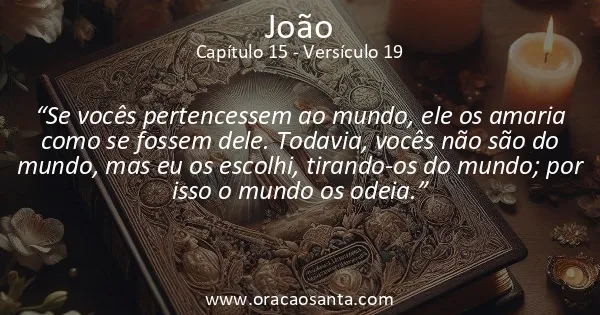 João 15:19