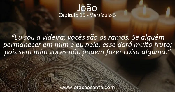 João 15:5