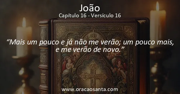João 16:16