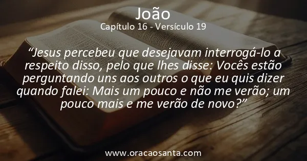 João 16:19