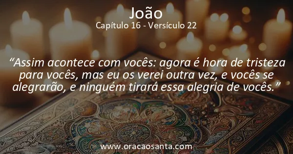 João 16:22