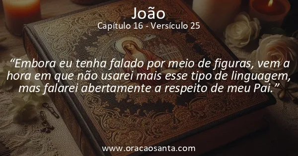 João 16:25