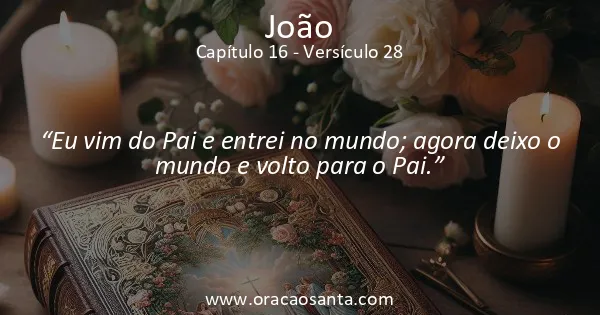 João 16:28
