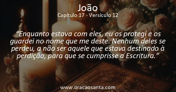 João 17:12