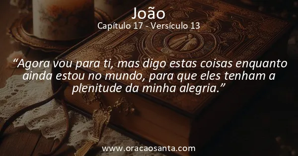 João 17:13