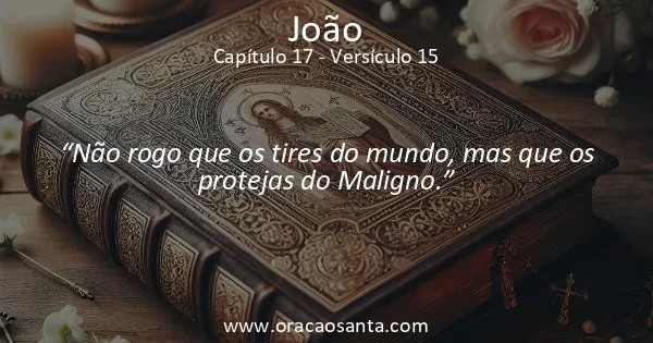 João 17:15