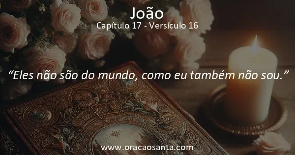 João 17:16