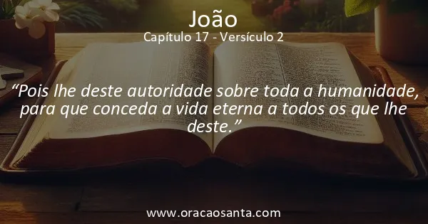 João 17:2