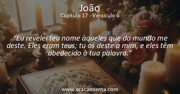 João 17:6