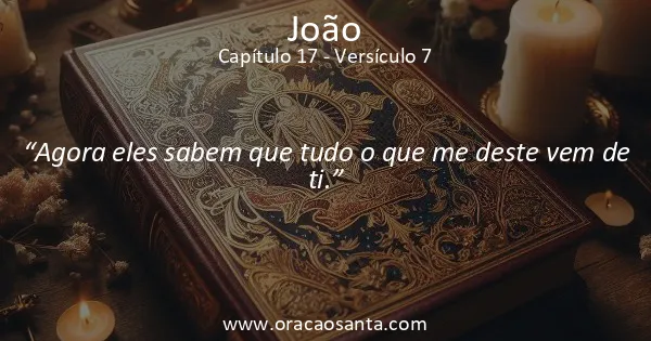 João 17:7