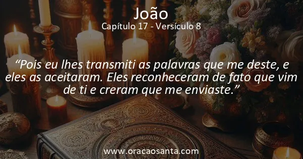 João 17:8