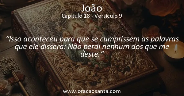 João 18:9