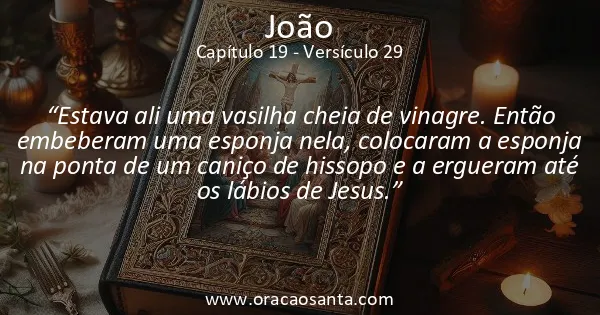João 19:29