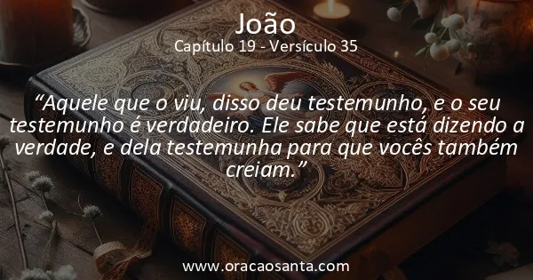 João 19:35