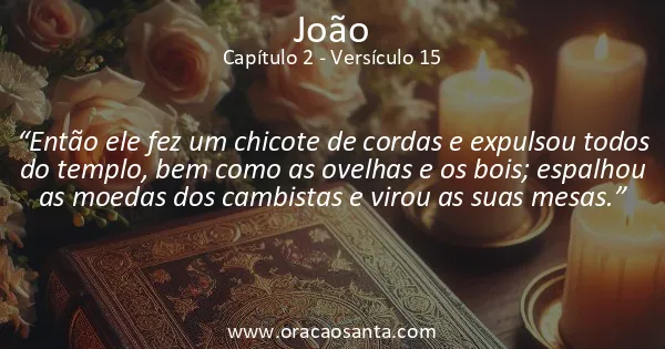 João 2:15