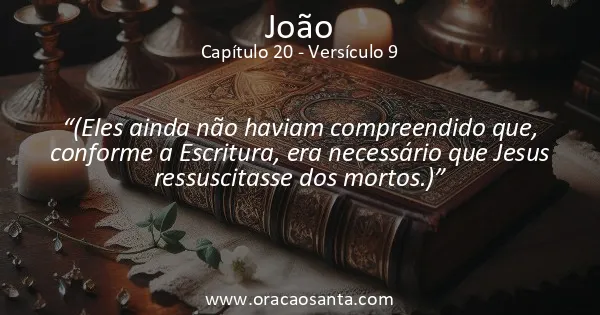 João 20:9