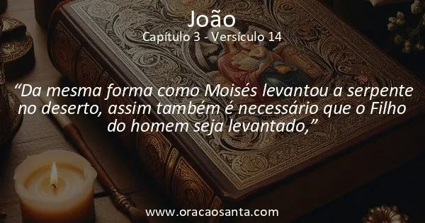 João 3:14